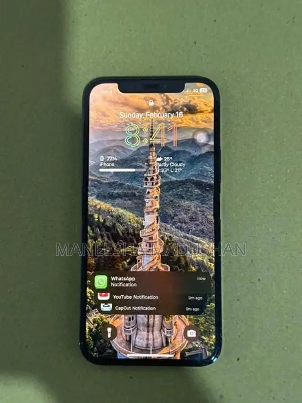 Apple iPhone 12 Pro (Used)