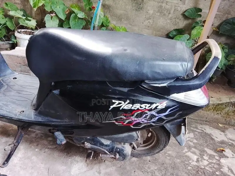 Hero Pleasure 2013