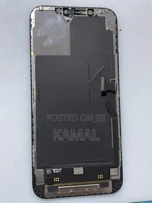 Apple iPhone 12 Pro Max Display