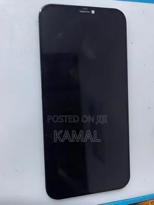 Apple iPhone 12 Pro Max Display