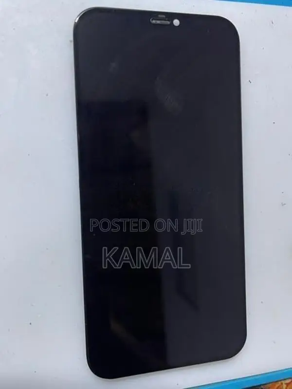 Apple iPhone 12 Pro Max Display