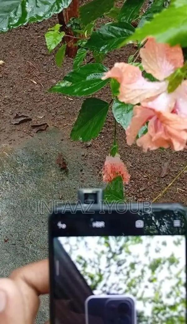 Xiaomi Redmi K20 Pro (Used)