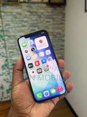 Apple iPhone 12 Pro 256GB (Used)