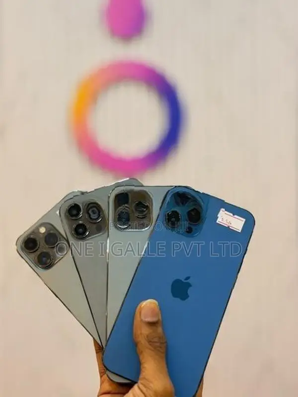 Apple iPhone 13 Pro Max 256GB (Used)