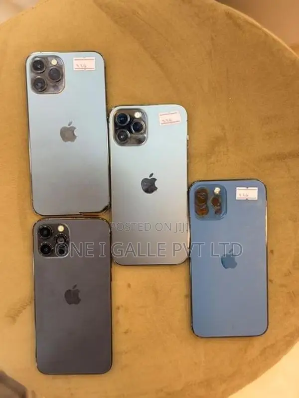 Apple iPhone 13 Pro Max 256GB (Used)