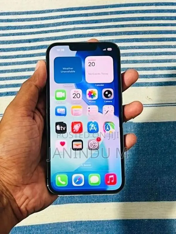 Apple iPhone 13 Pro 256GB (Used)