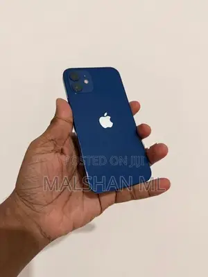Apple iPhone 12 256GB (Used)