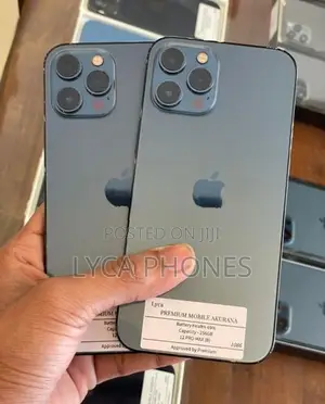Apple iPhone 12 Pro Max 256GB (Used)