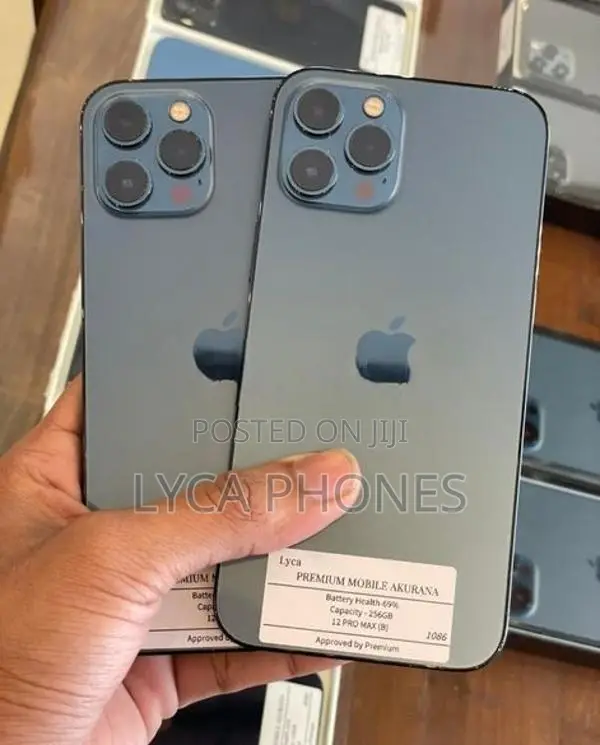 Apple iPhone 12 Pro Max 256GB (Used)