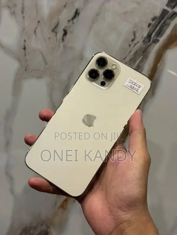Apple iPhone 12 Pro Max 256GB (Used)