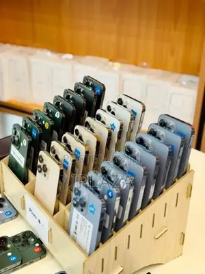 Apple iPhone 13 Pro 256GB (Used)
