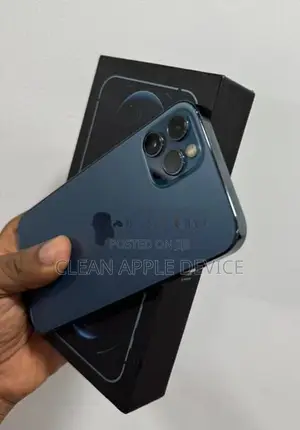 Apple iPhone 12 Pro 256GB (Used)