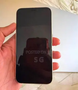 Apple iPhone 12 mini GB (Used)
