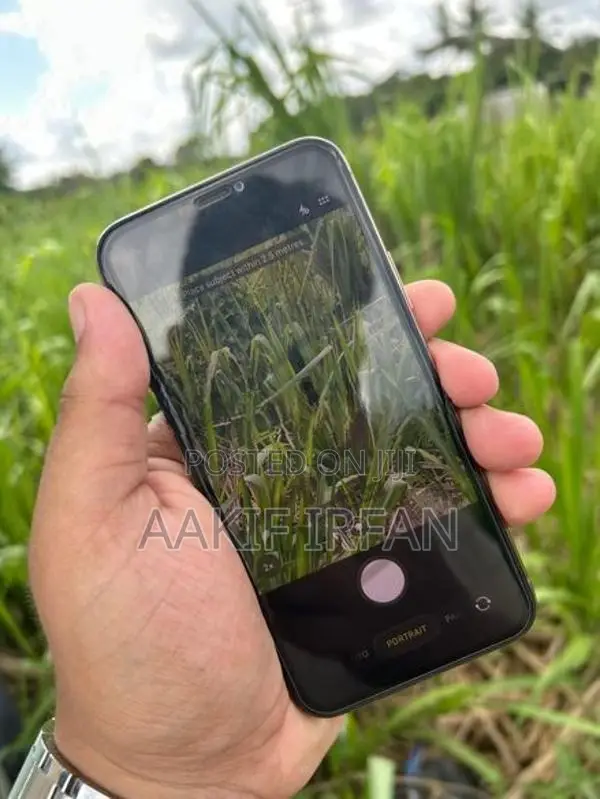 Apple iPhone 11 Pro (Used)