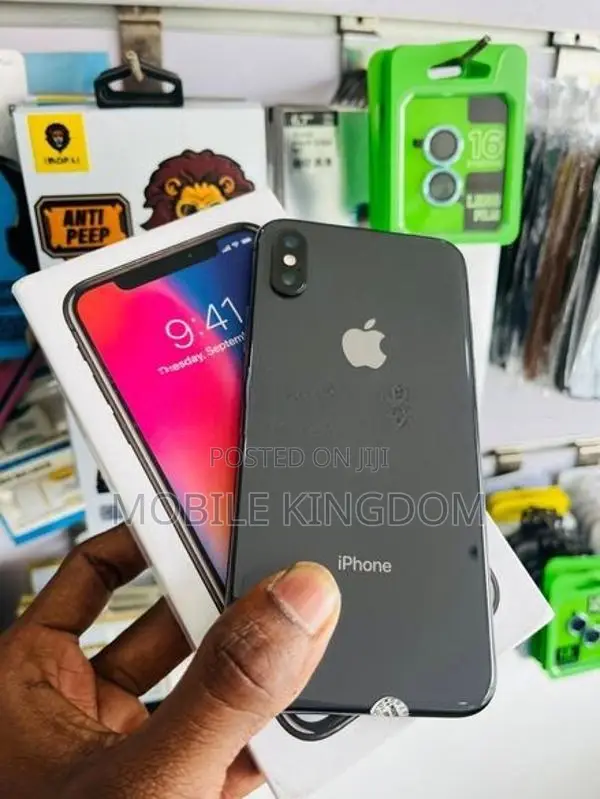 Apple iPhone XS 256GB (Used)