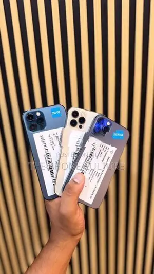 Apple iPhone 12 Pro 256GB (Used)