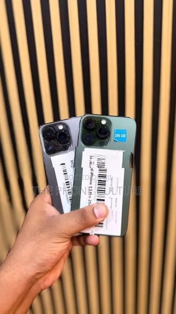 Apple iPhone 13 Pro 256GB (Used)