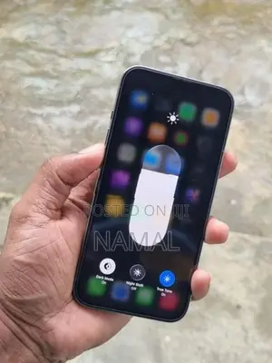 Apple iPhone 13 Pro (Used)
