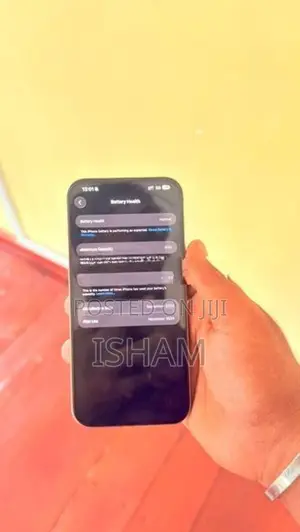 Apple iPhone 16 Pro Max (Used)