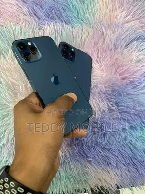 Apple iPhone 12 Pro Max (Used)