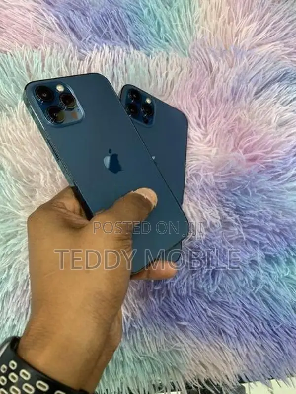 Apple iPhone 12 Pro Max (Used)