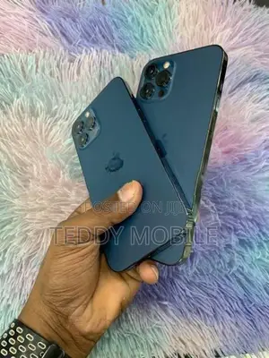 Apple iPhone 12 Pro Max (Used)
