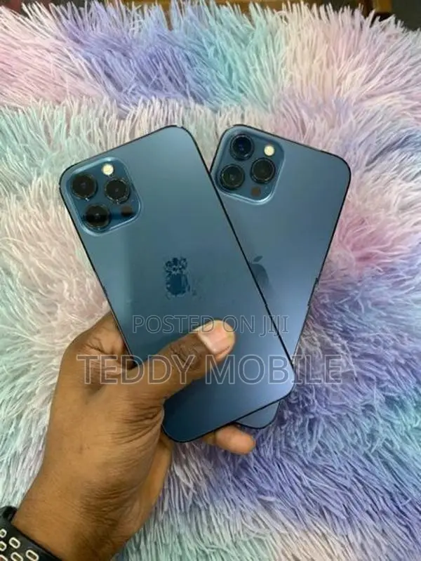 Apple iPhone 12 Pro Max (Used)