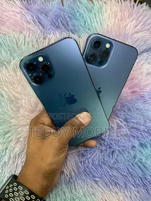 Apple iPhone 12 Pro Max (Used)