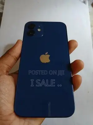 Apple iPhone 12 (Used)