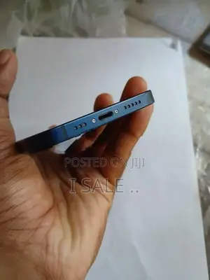 Apple iPhone 12 (Used)