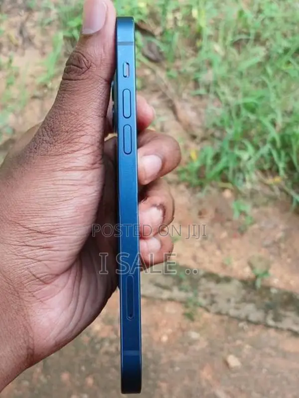 Apple iPhone 12 (Used)