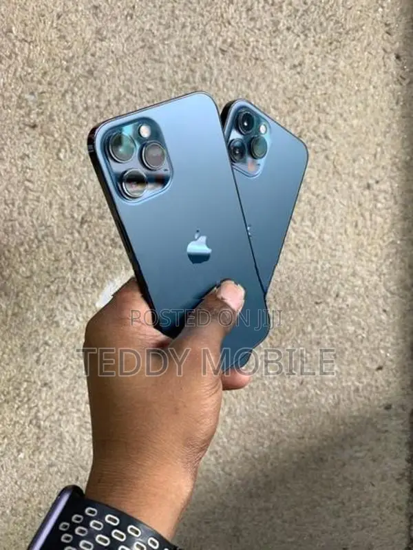 Apple iPhone 12 Pro Max (Used)