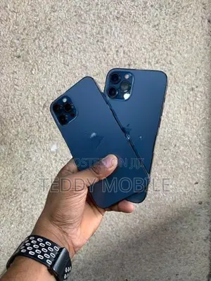 Apple iPhone 12 Pro Max (Used)