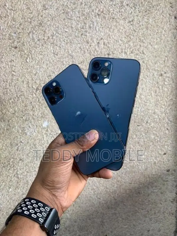 Apple iPhone 12 Pro Max (Used)