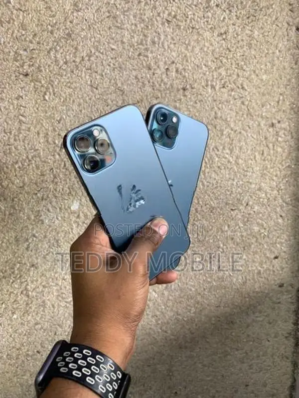 Apple iPhone 12 Pro Max (Used)