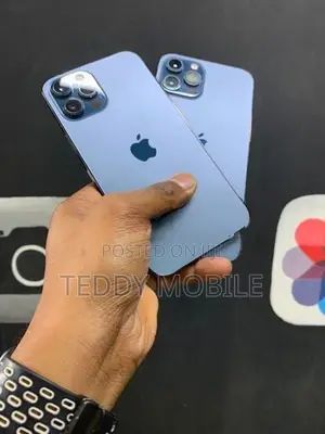 Apple iPhone 12 Pro Max (Used)