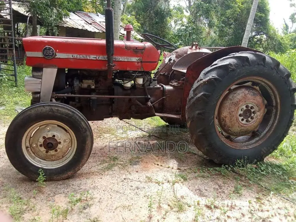 Massey-Ferguson 135 1969 Tractor (Used)