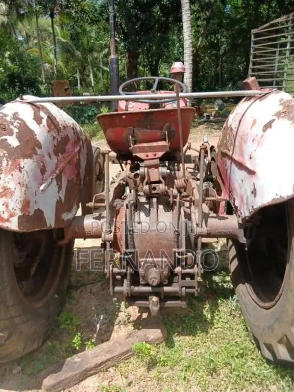 Massey-Ferguson 135 1969 Tractor (Used)