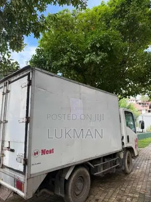Isuzu Isuzu 2010 Lorry (Used)