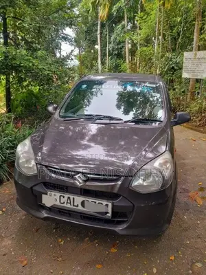 Suzuki Alto 2015 Car (Used)