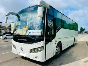 Other Golden Dragon 2015 Bus (Used)