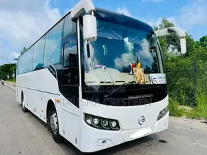 Other Golden Dragon 2015 Bus (Used)