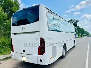 Other Golden Dragon 2015 Bus (Used)