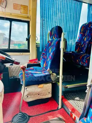 Other Golden Dragon 2015 Bus (Used)