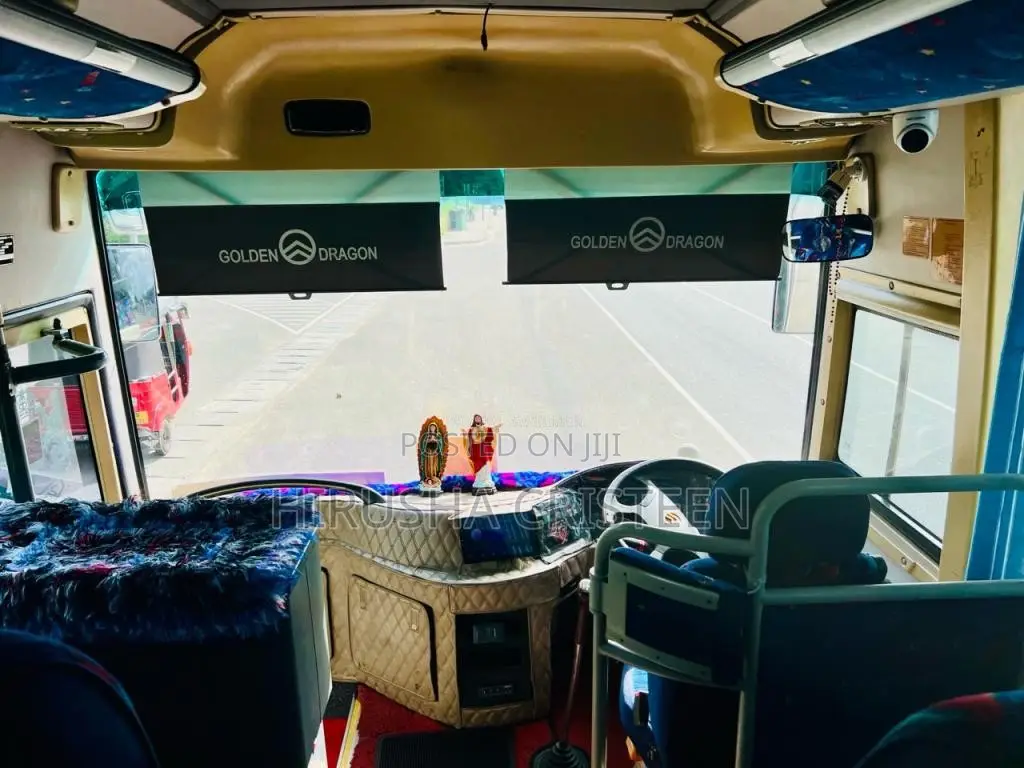 Other Golden Dragon 2015 Bus (Used)