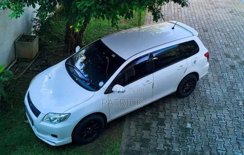 Toyota Fielder 2007 Car (Used)