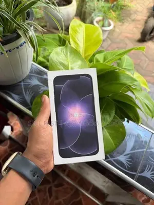 Apple iPhone 17e 256GB (Used)