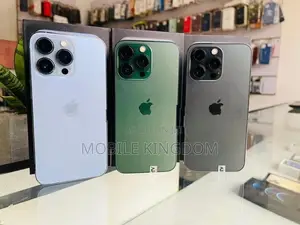 Apple iPhone 13 Pro 256GB (Used)
