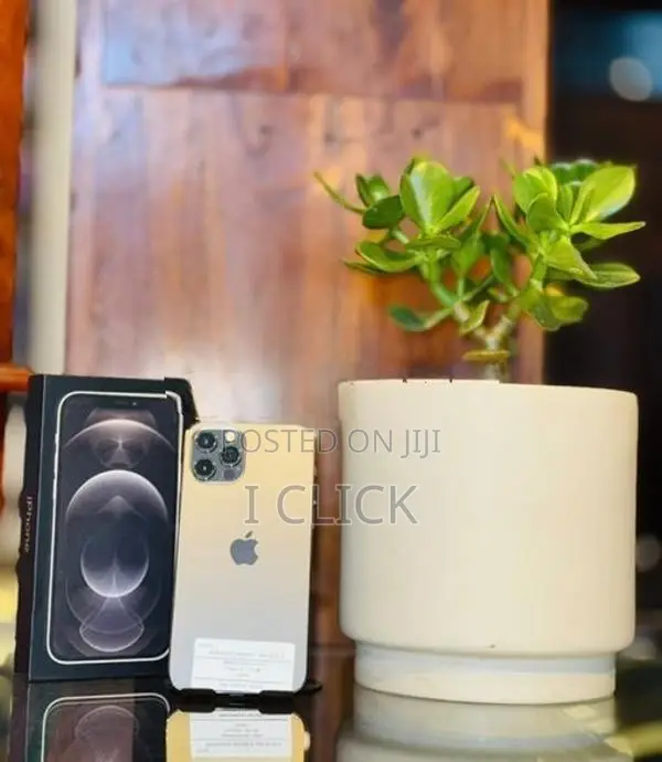 Apple iPhone 12 Pro 128GB (Used)