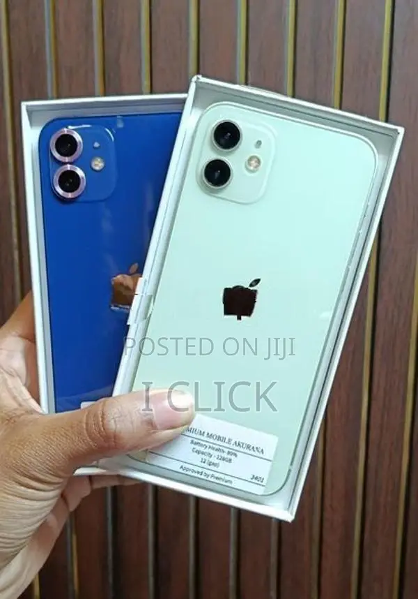 Apple iPhone 12 (Used)